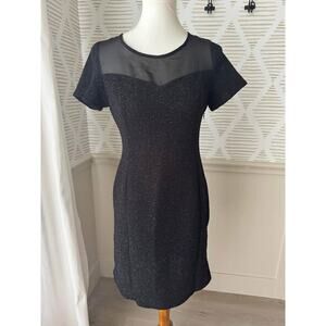 Black Silver Sparkle Women’s Medium Sheer Dress